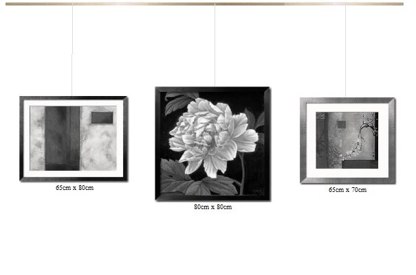 pared_5